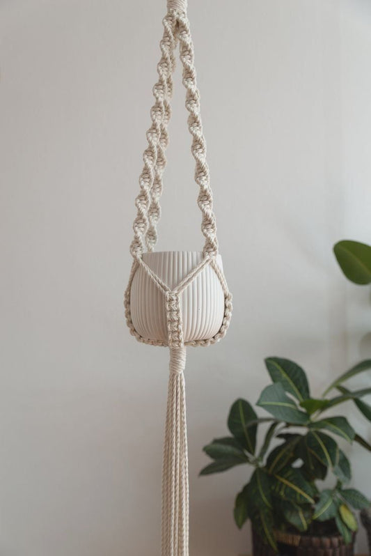 Kit Plant Hanger